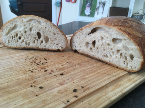 This loaf is better than the left, but still more dense than would be best. Edible, but not as good as bakery bread.