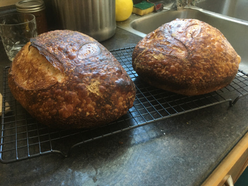 Loaves with 80% hydration