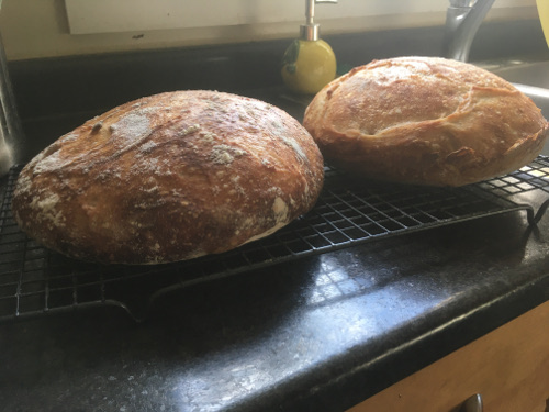 Loaves with 90% hydration. Very tasty, but the flatness of the loaf is not desirable